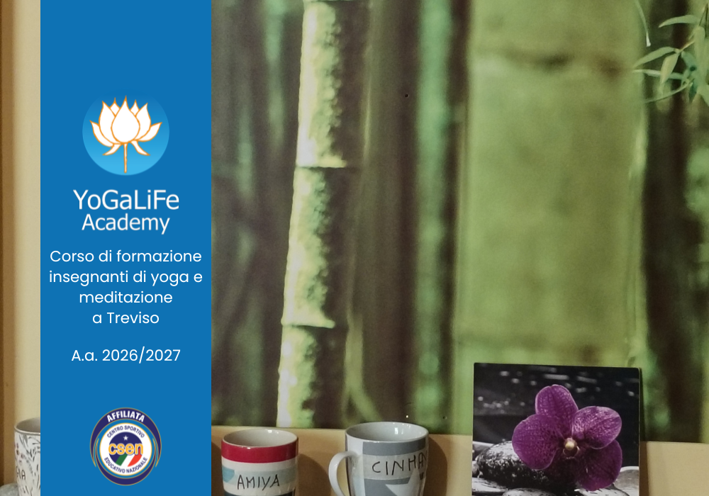 Yogalife academy