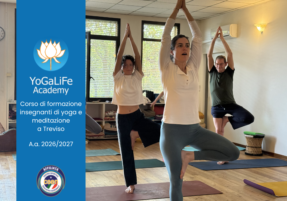 Moduli chiave di Yogalife Academy: cosa imparerai e come si svolgono le lezioni